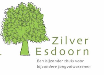 zilver-esdoorn.jpg